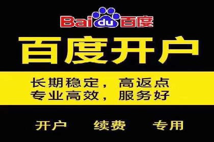 成功SEM投放案例分享